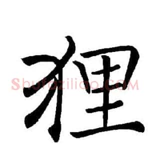 狸