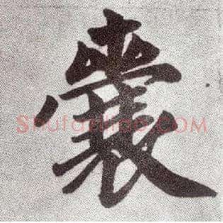 囊