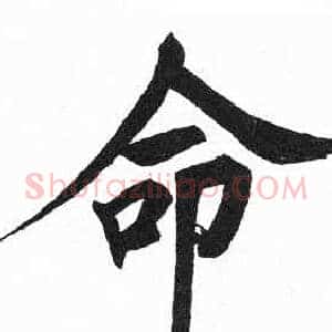 命