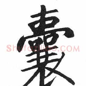 囊