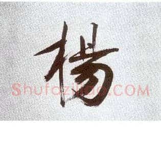 杨