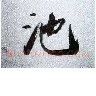 池