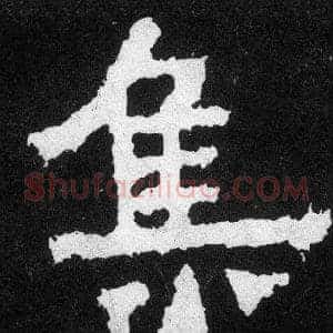 集