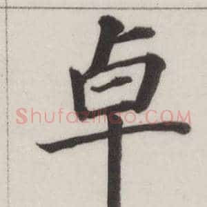 卓
