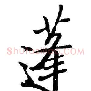 蓬