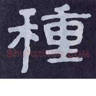 种
