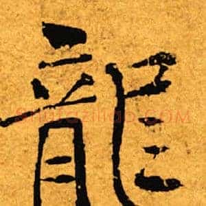 龙