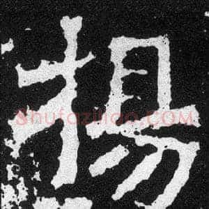 楊