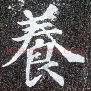 養