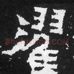 濯