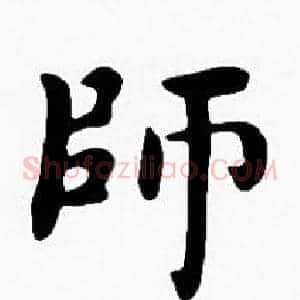 師