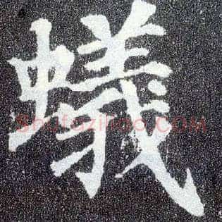 蚁