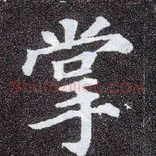 掌