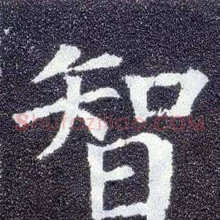 智
