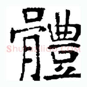 體