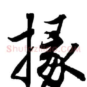 掾