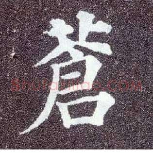 苍