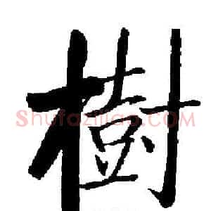 樹