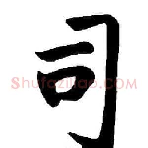 司