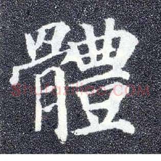 体