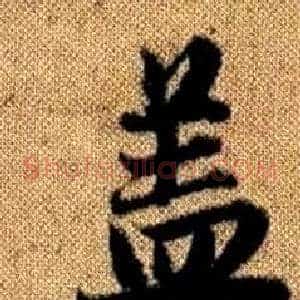 盖