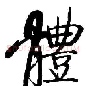 體