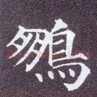 鹏