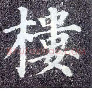 楼