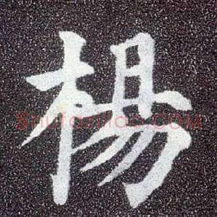 杨