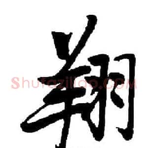 翔