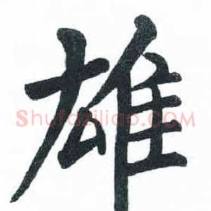 雄