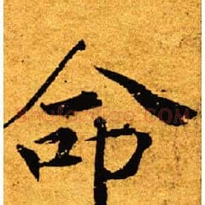 命