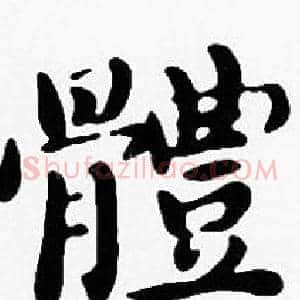 體