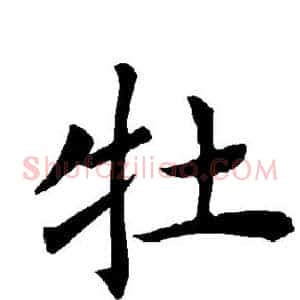 牡