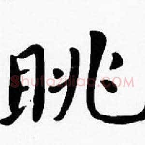 眺