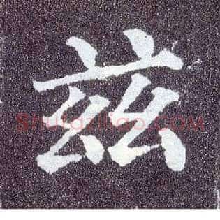 兹