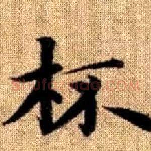 杯