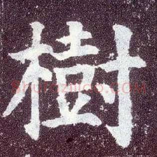 树