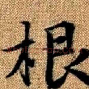 根