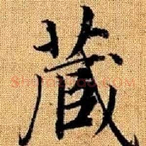 藏