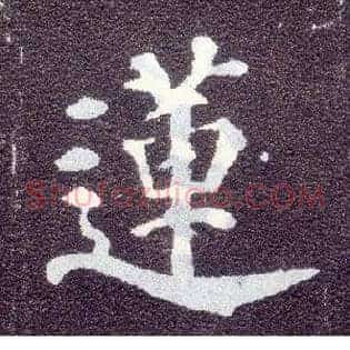 莲