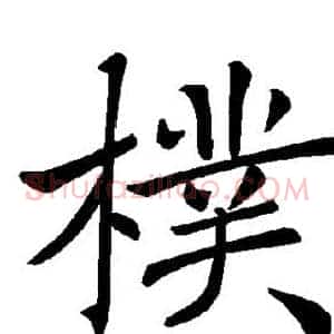 朴