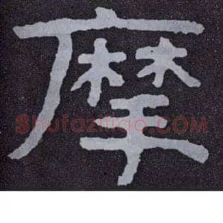 摩