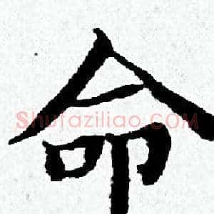 命