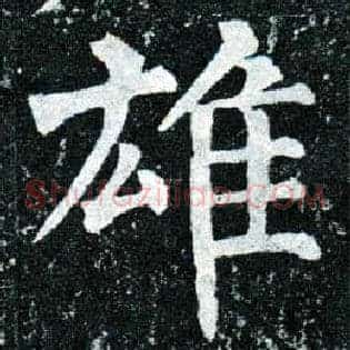 雄