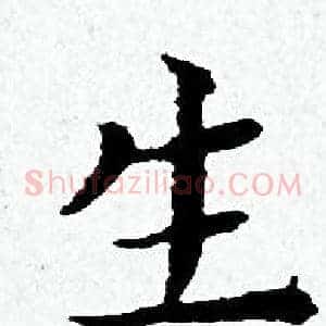 生