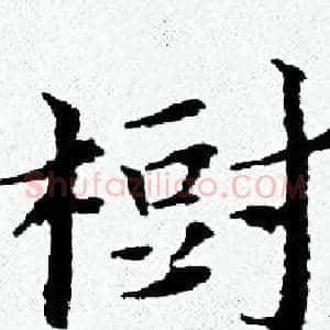 樹
