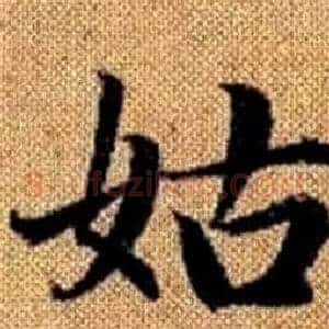 姑