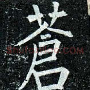 苍