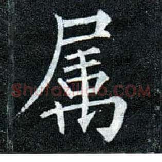 属